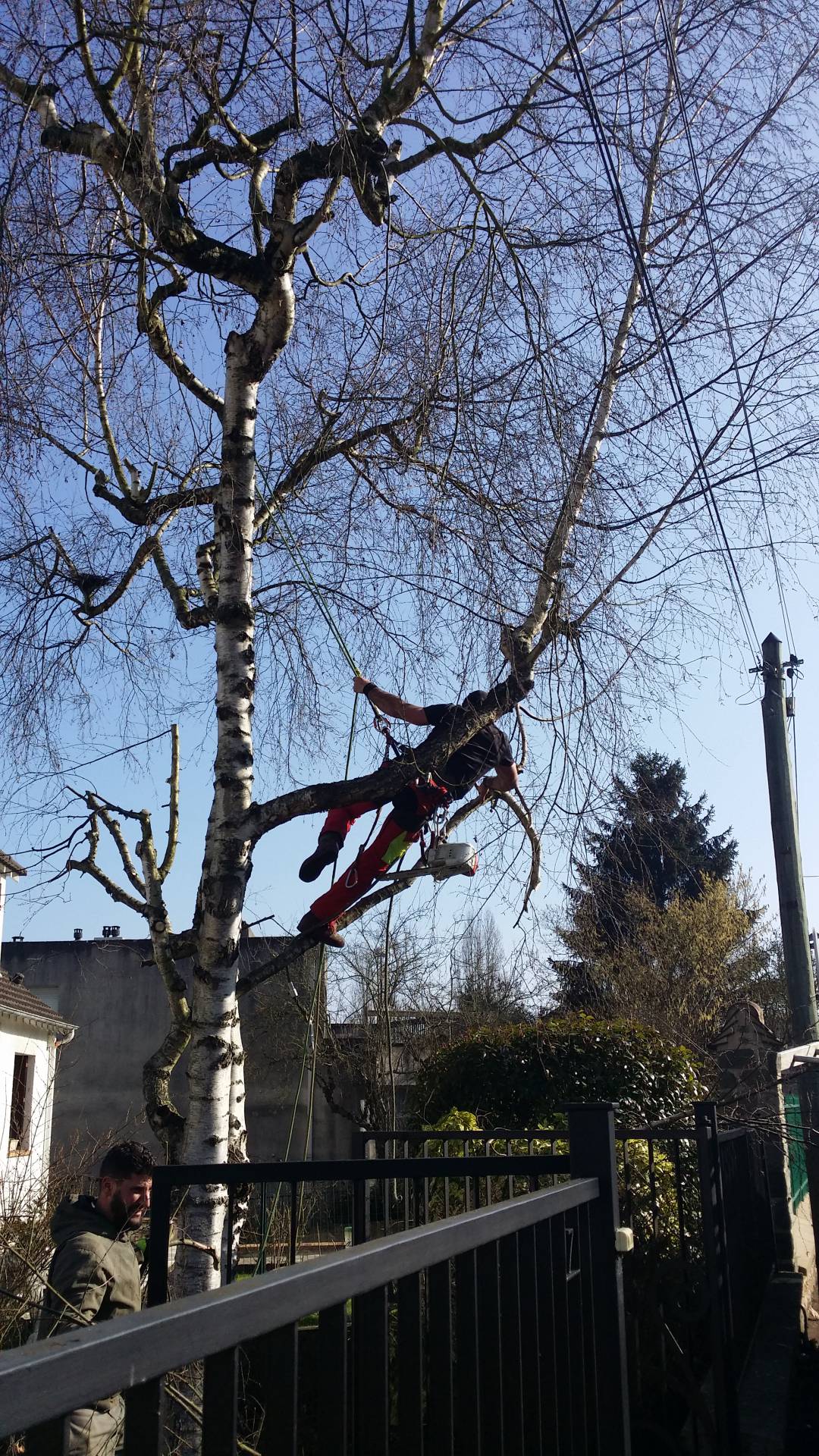 20170213_132511.jpg